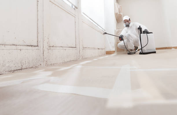 24/7 Emergency Mold Remediation experts in Pentwater, MI